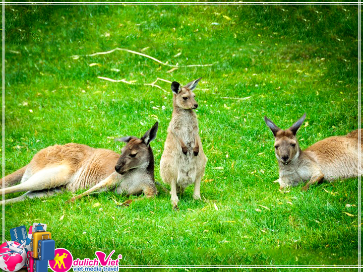 Du lịch Úc - Sydney - Central - Melbourne - Ballarat mùa Xuân từ Sài Gòn